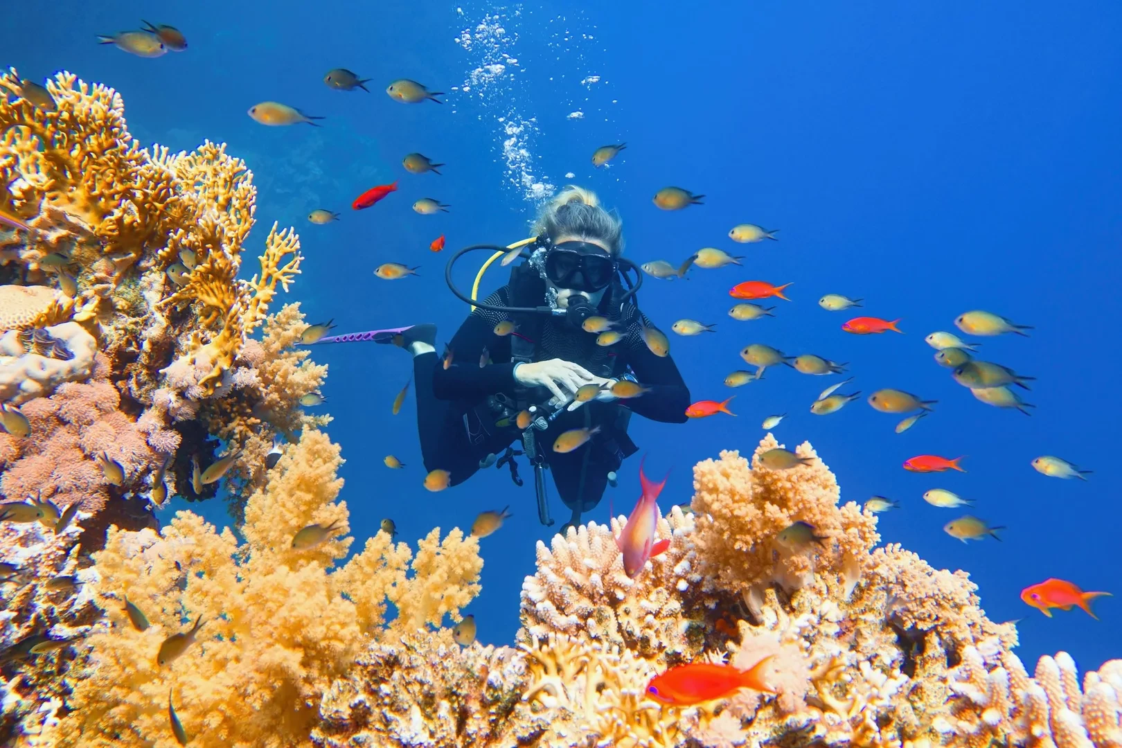 Pacotes de mergulho com tesouros subaquáticos no Mar Vermelho