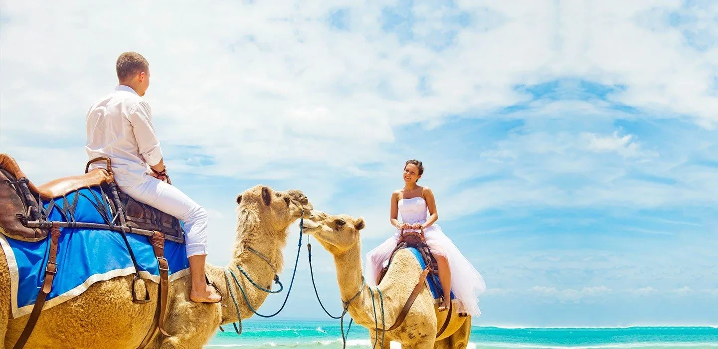 8 Days Egypt Honeymoon Tour Package Cairo & Giza and Hurghada