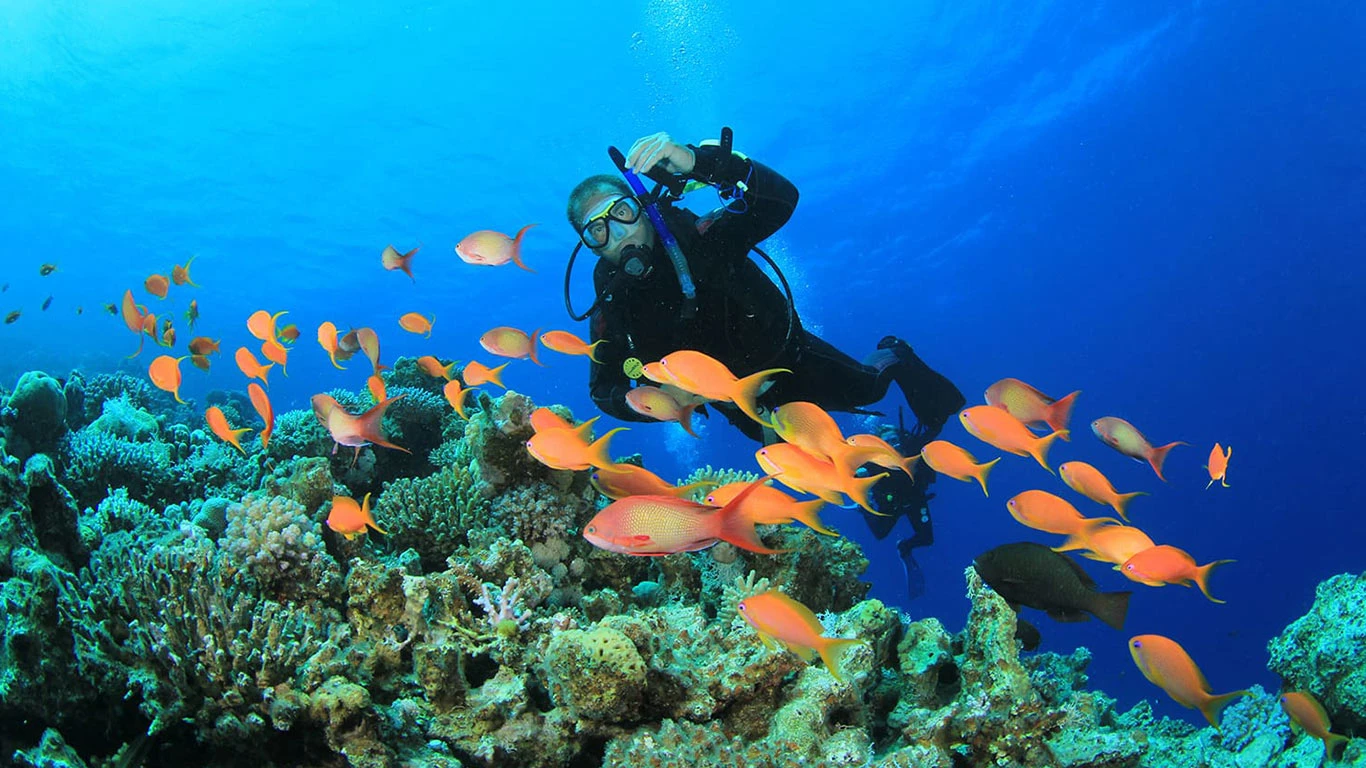 12 Days Family Expedition: Cairo to Hurghada Cairo, Luxor, Aswan, Hurghada