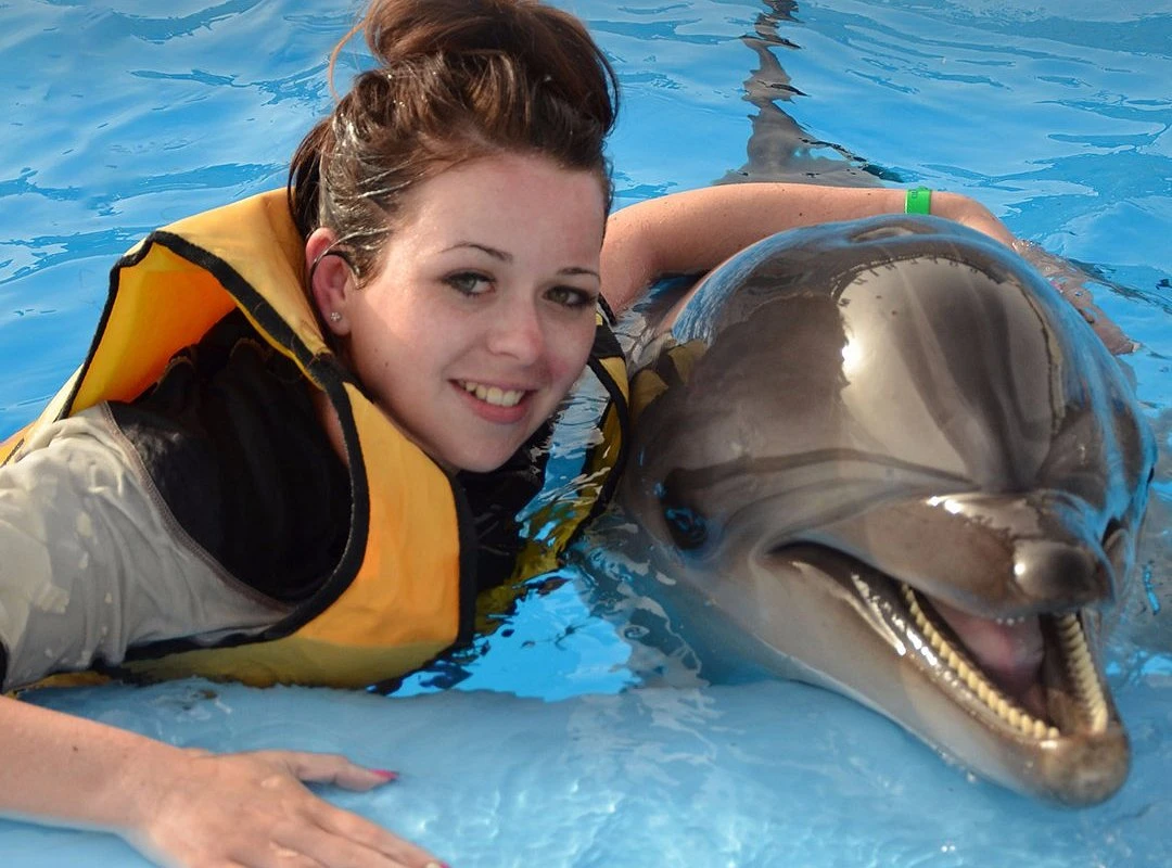 Hurghada Dolphin Show a must-see attraction