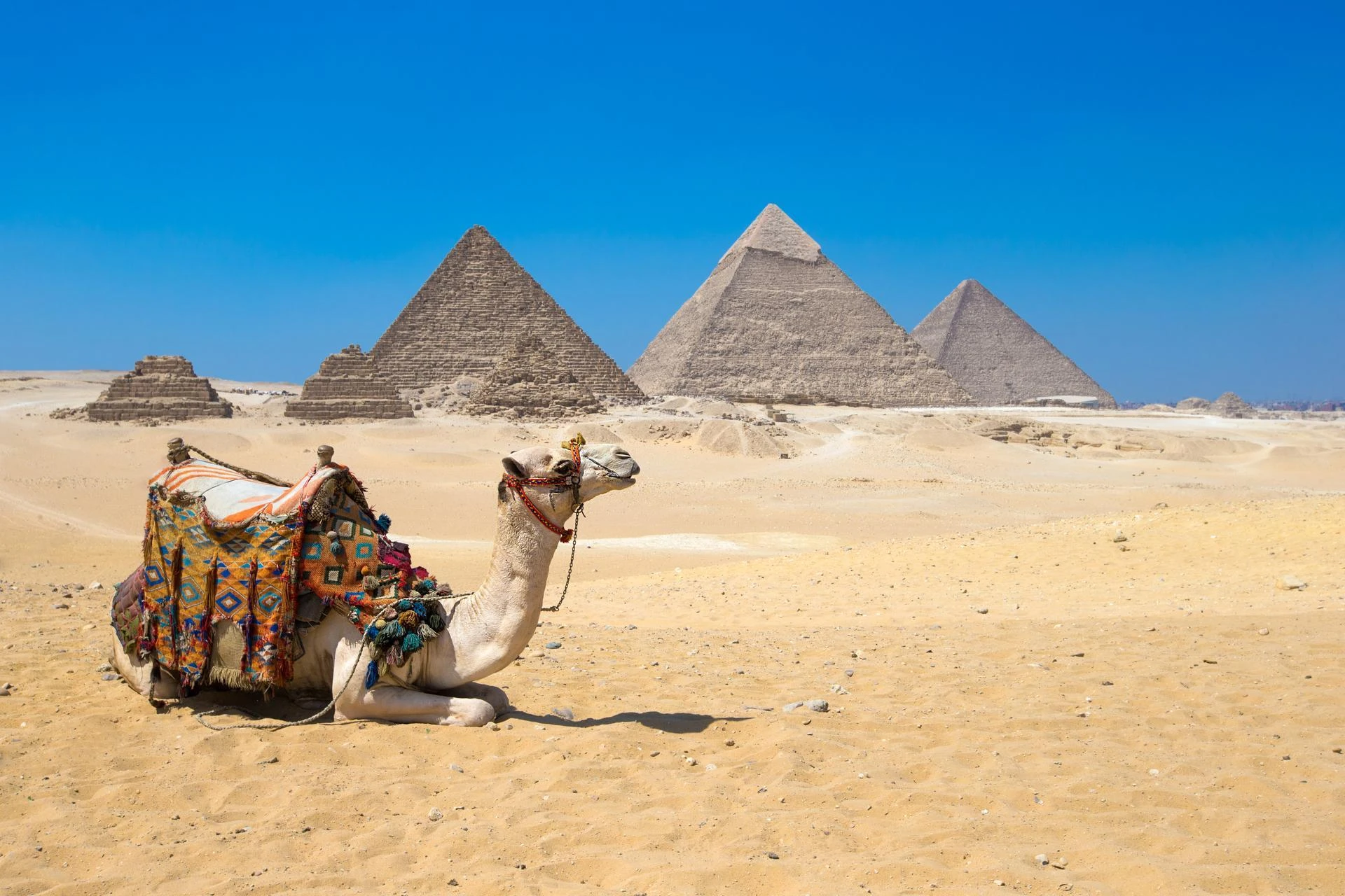 Guia de viagem Cairo: Pirâmides e Grande Museu Egípcio